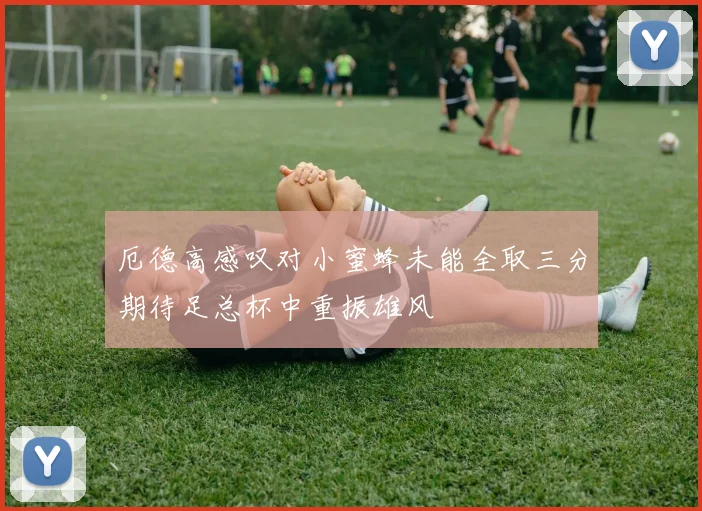 厄德高感叹对小蜜蜂未能全取三分期待足总杯中重振雄风