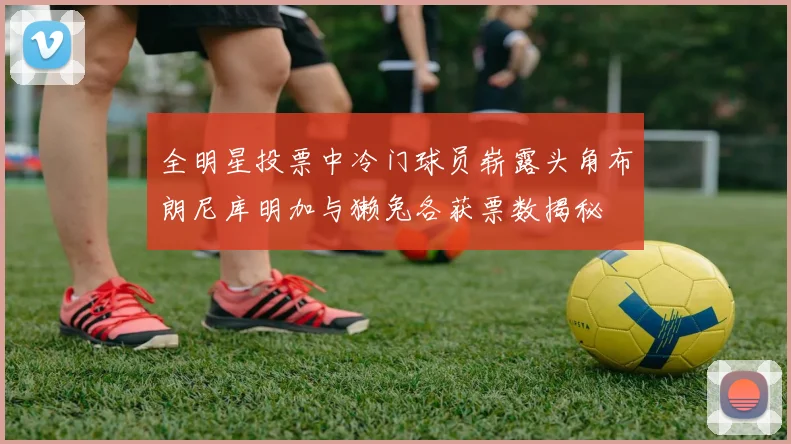 全明星投票中冷门球员崭露头角布朗尼库明加与獭兔各获票数揭秘